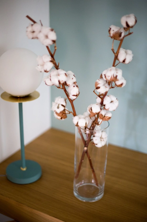 Dried Cotton stem with 10 flowers