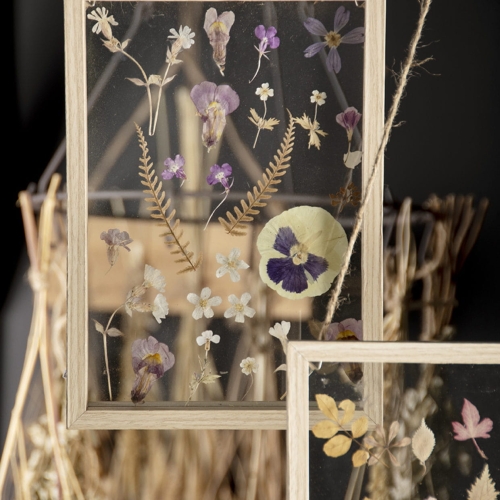 Dried flowers frame - double glass, floating frame - small