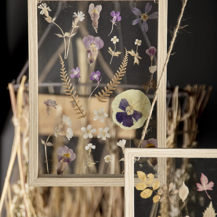 Dried flowers frame - double glass, floating frame - small