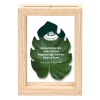 Dried flowers frame  - double glass, floating frame - small