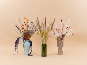 Trockenblumenset - Premium