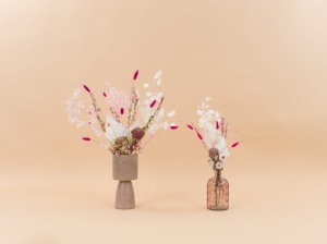 Trockenblumenset - Premium