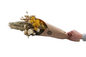 Trockenblumenset für einen Kranz