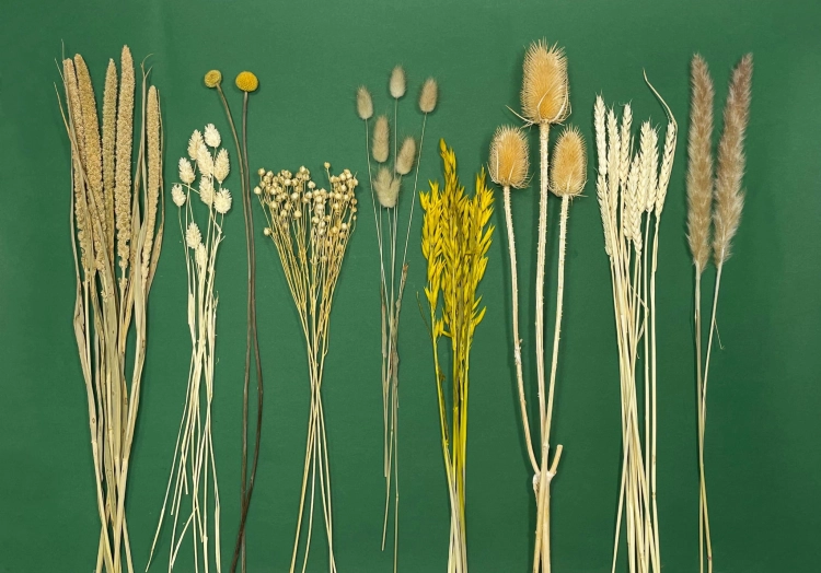 Dried flowers set, DIY bouquet - standard size