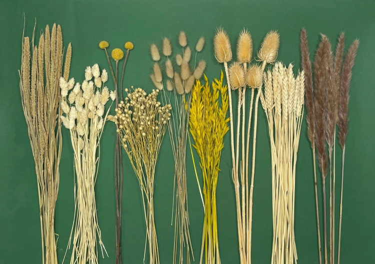 Trockenblumenset - Premium