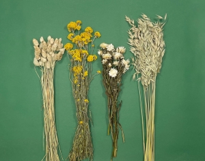 Trockenblumenset für einen Kranz