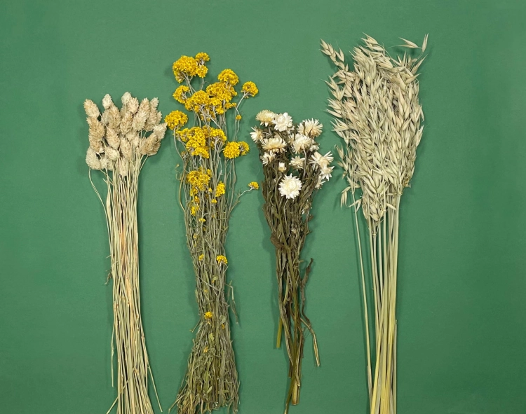 Trockenblumenset für einen Kranz