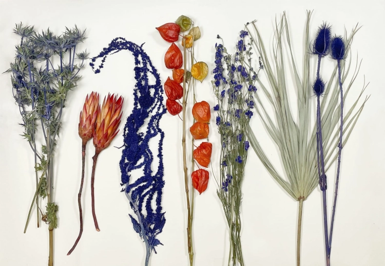 Trockenblumenset - Premium