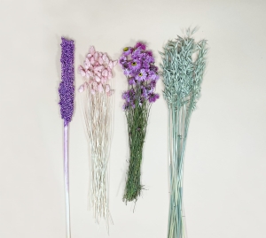 Trockenblumenset für einen Kranz