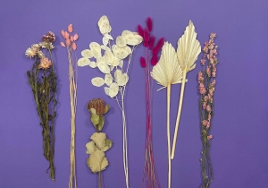 Trockenblumenset - Standard