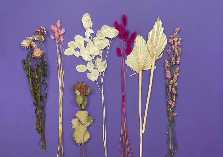 Trockenblumenset - Standard