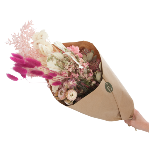 Set von Trockenblumen für Vase - Premium
