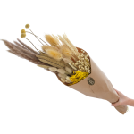 Set von Trockenblumen für Vase - Premium