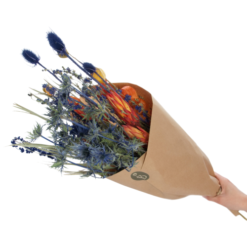 Set von Trockenblumen für Vase - Premium