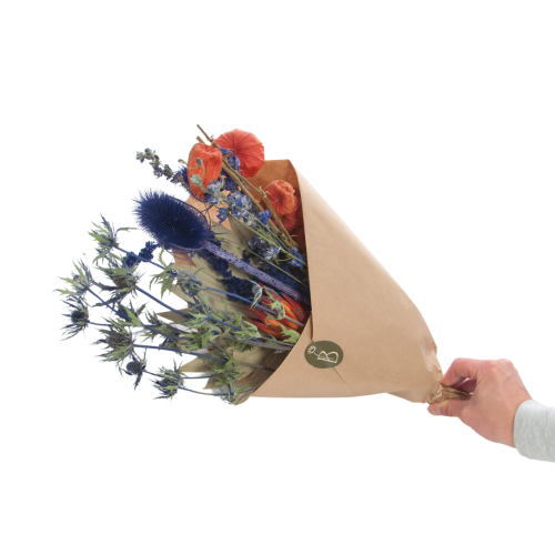 Set von Trockenblumen für Vase - Standard