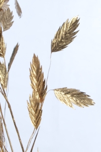 Suszone liście - obiedka złota (Chasmanthium) - bukiet 5 szt.