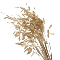 Dried leaves - golden woodoats, Chasmanthium - 5 stems