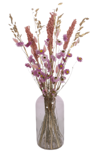Set von Trockenblumen für Vase - Lagurus, Acroclinium, Chasmanthium, Sorghum