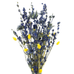 Set von Trockenblumen für Vase - Eryngium, Rittersporne, Phalaris 