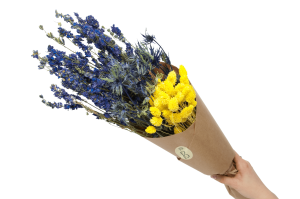 Set von Trockenblumen für Vase - Eryngium, Rittersporne, Phalaris