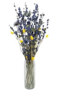 Set von Trockenblumen für Vase - Eryngium, Rittersporne, Phalaris