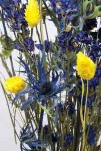 Set von Trockenblumen für Vase - Eryngium, Rittersporne, Phalaris