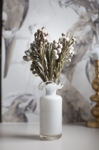 Getrocknete Brunia - Strauß 5 Stück - getrockneten Blumen