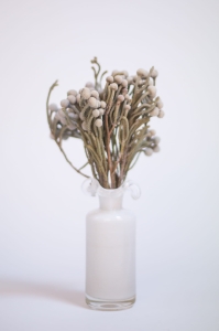 Dried Brunia - bunch - dried flowers