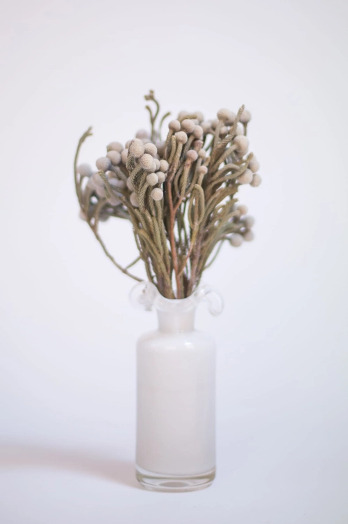Dried Brunia - bunch - dried flowers