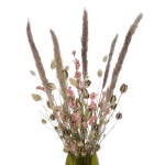 Set von Trockenblumen für Vase - Nigella, Rittersporne, Phalaris, Pampasgras