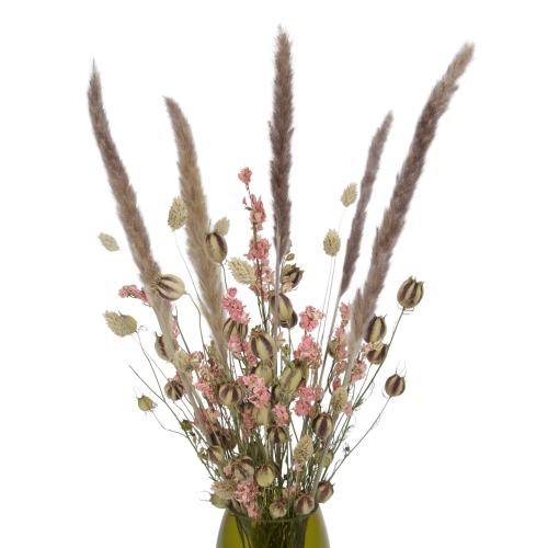 Set von Trockenblumen für Vase - Nigella, Rittersporne, Phalaris, Pampasgras