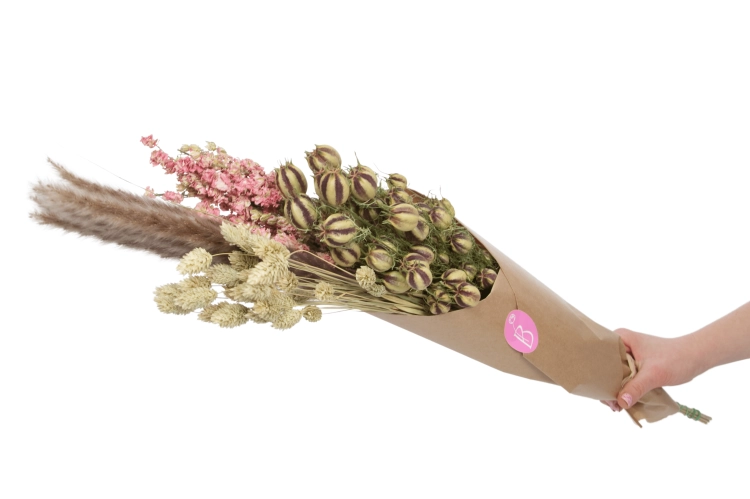 Set von Trockenblumen für Vase - Nigella, Rittersporne, Phalaris, Pampasgras