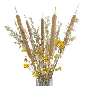 Set von Trockenblumen für Vase - Rohrkolben, Sanfordii, Hafer, Flachs