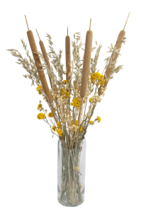 Set von Trockenblumen für Vase - Rohrkolben, Sanfordii, Hafer, Flachs