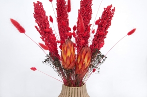 Set von Trockenblumen für Vase - Lagurus, Sorghum, Protea, Phalaris