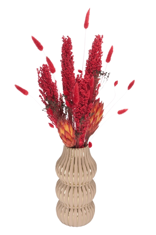 Set von Trockenblumen für Vase - Lagurus, Sorghum, Protea, Phalaris
