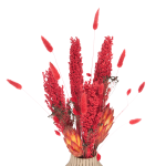 Set von Trockenblumen für Vase - Lagurus, Sorghum, Protea, Phalaris