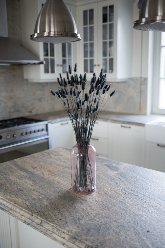 Dried black Lagurus - bunny tail grass ~60 stems
