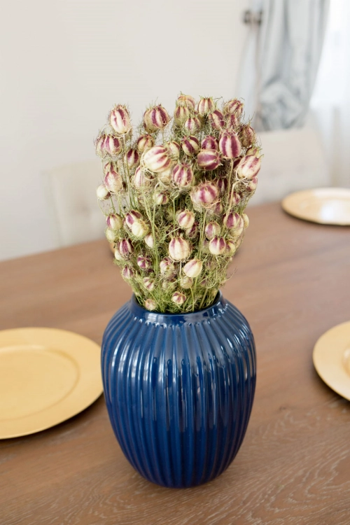 Suszona czarnuszka damasceńska (Nigella) - bukiet - suszone kwiaty