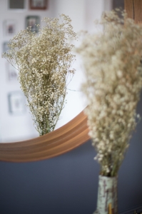 Schleierkraut, weiß - Strauß 5 Stk. - Trockenblumen