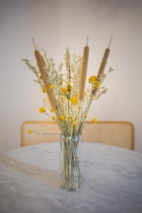 Set von Trockenblumen für Vase - Rohrkolben, Sanfordii, Hafer, Flachs