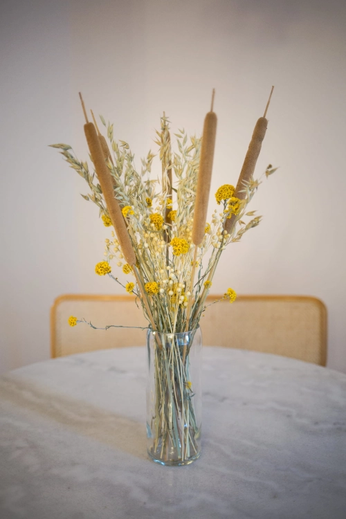 Set von Trockenblumen für Vase - Rohrkolben, Sanfordii, Hafer, Flachs