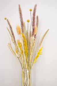 Trockenblumenset - Premium