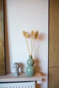 Distel gebleicht - Trockenblumen - Strauß ~10 Stück