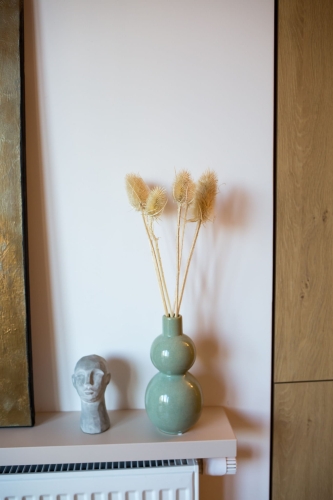 Dried bleached thistle - dipsacus ~10 pcs.