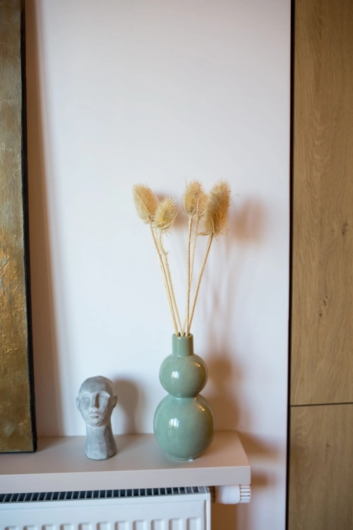 Dried bleached thistle - dipsacus ~10 pcs.