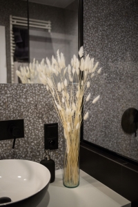 Dried white Lagurus - bunny tail grass ~60 stems