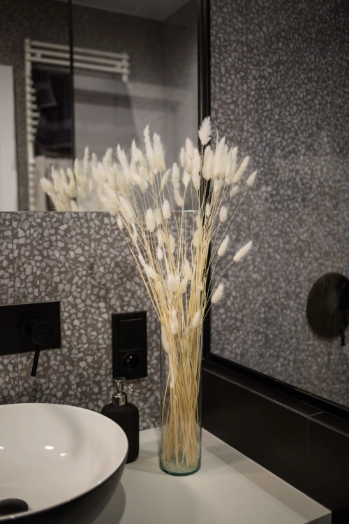 Dried white Lagurus - bunny tail grass ~60 stems
