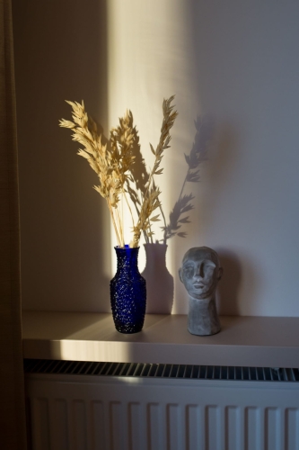 Dried bleached Avena - bunch ~50 stems