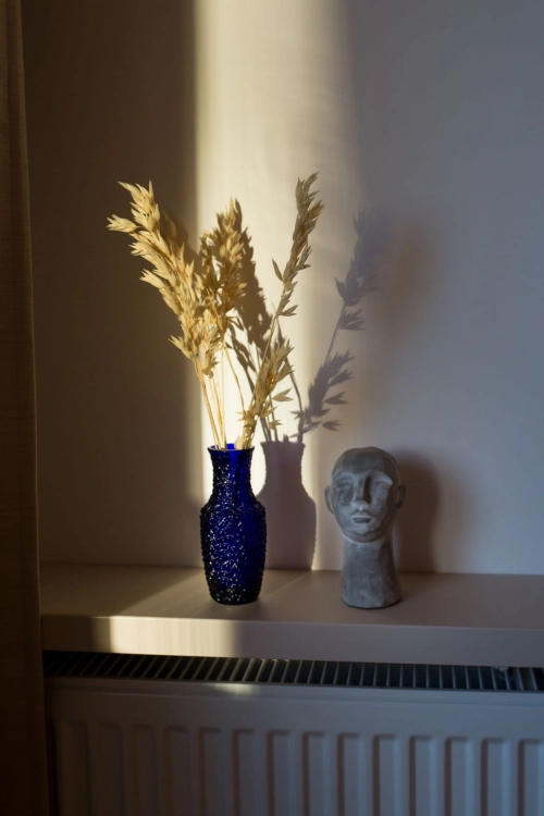 Dried bleached Avena - bunch ~50 stems